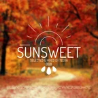 Sunsweet #008 | Downtempo & Organic House DJ Set (DJ Mix)