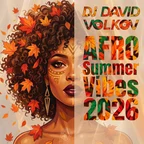 Afro 11 (Summer Vibes 2026)