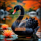 Pleasure 2026-06-17