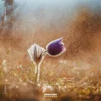 Dream On (Extended Mix)