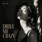 Drive Me Crazy