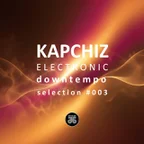 Electronic Downtempo Selection #003 (DJ Mix)