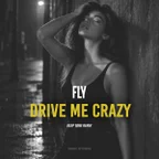 Fly - Drive Me Crazy (Deep Tone Remix)