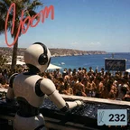 LOOM 232