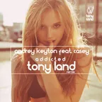 Andrey Keyton ft. Casey - addicted (Tony Land Remix)
