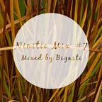 Ninitie Mix #7 (Autumn Mix)