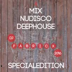 NUDISCO/DEEP MIX (SPECIAL EDITION)