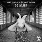 Andrey Exx, Shirshnev, Troitski feat. SevenEver - Go Insane (Original Mix)