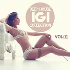Deep House Collection vol.11