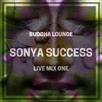 Buddha Lounge LIVE MIX part I
