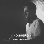 DSNBRG MIX BY TSELYANOV #001