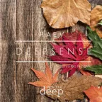 RAEV - D E E P S E N S E @livebarrooms