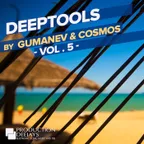 Deeptools by Dj Gumanev & Dj Cosmos vol 5
