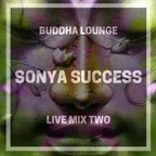 Buddha lounge LIVE MIX part II