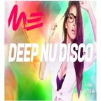 Deep Nu Disco (Feb 2016)