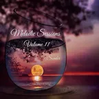 Melodic Sessions Volume 11
