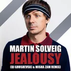Martin Solveig — Jealousy (dj Grushevski & Misha Zam Remix)