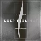 Deep Feelings Spring16