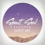 Spirit Soul Guest Mix (April 2016)