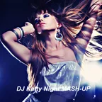 Pink & Eva Simons & Dj Mexx & Dj ModerNator & Magnit & Slider & Eddie G & SCVTCHISBVCK- Get This Party Started vs Policeman (DJ Katty Night mash-up)