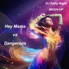 David Guetta- Hey Mama vs Dangerous (DJ Katty Night mash-up)
