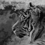 Wild Essence (Deep Strips Records Podcast # 1)