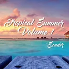 Dropical Summer Volume 1