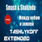 Smash feat. Shahzoda & TashlykoFF - Между небом и землей (Extended Mix)