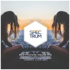 Future House Mix #02 (Summer 2016)
