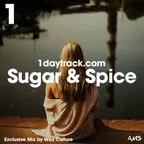 Sugar & Spice (Exclusive Mix #47)