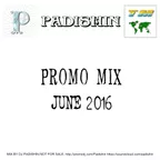 Promo Mix June 2016 - mixed by dj Padishin