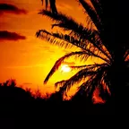 Balearic Sunset