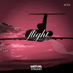 Flight MSC-SPB #04