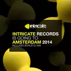 Intricate Records Is Going to Amsterdam Vol.2