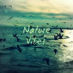 Exclusive Deep Disco Sounds Selection