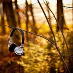 MIX #FALLinMOTION- Sep'16