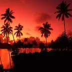 Goa is Well -Electro House