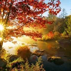 Deep House 11 (October 2016)