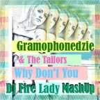 Gramophonedzie & The Tailors - Why Don't You (DJ Fire Lady MashUp)