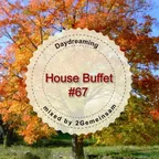House Buffet #067