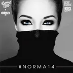 #Norma 14