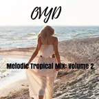 Melodic Tropical Mix vol.2