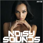 NS #113 (Best Of Deep & Chill House Music Mix 2016)