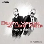 Dimitri Vegas & Like Mike — Stay A While (DJ Flight Remix)