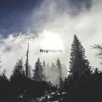 Rise Again