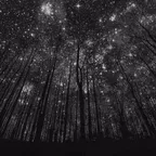Deep Grooves 001