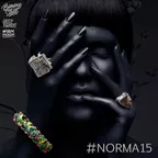 #Norma 15