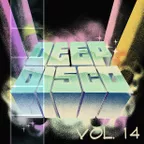 Deep Disco Mix #14