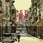 Pepper Cat Podcast 012/2017