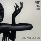 #Norma 16